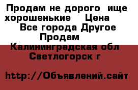 Продам не дорого ,ище хорошенькие  › Цена ­ 100 - Все города Другое » Продам   . Калининградская обл.,Светлогорск г.